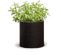 Curver Vaso Da Fiori Medio Rattan