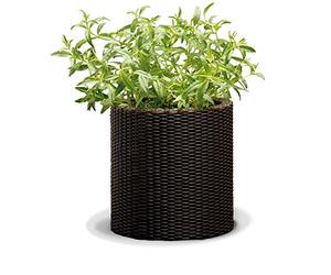 Curver Vaso Da Fiori Medio Rattan