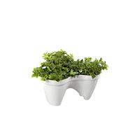 CURVER Vaso da Fiori Piramide Bianco, Poliuretano