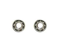 Cuscinetti a sfere, Cuscinetti a sfere a gola profonda in acciaio | 20 mm×47 mm×18 mm Uso generale: doppia schermatura 2 pezzi(62204)