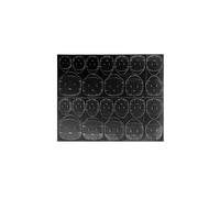 Cuscinetti adesivi Beautynails x50