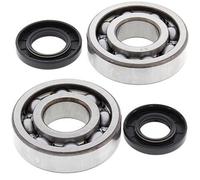 24-1010 ALL BALLS KIT CUSCINETTI ALBERO MOTORE KAWASAKI KX 250 1994