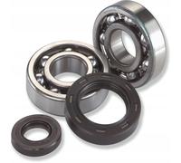 ALL BALLS 24-1098 KIT CUSCINETTI ALBERO MOTORE HUSABERG TE250 2012