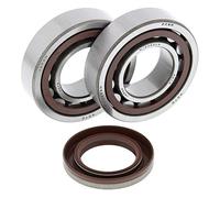 24-1106 ALL BALLS KIT CUSCINETTI ALBERO MOTORE KTM 450 SMR 2006