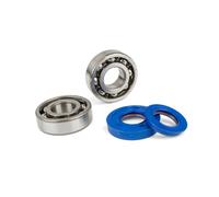 KIT CUSCINETTI PARAOLI BANCO ALBERO MOTORE POLINI MALAGUTI F 15 FIREFOX H2O