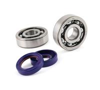 KIT CUSCINETTI REVISIONE ALBERO MOTORE POLINI MINARELLI AM5