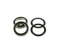 Campagnolo Cuscinetti Ultra Torque Record – set pedivella Argento 70242