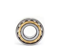 Cuscinetti, Cuscinetto a rulli cilindrici N2304 2305 2306 2307 2308 N2309 2310 2311 2312 2313 EM Alta velocità e durata Lunga,Maggiore durata(N2304EM 20x52x21)