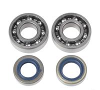 Cuscinetti dell'albero motore aftermarket e kit di guarnizioni per sega da taglio per calcestruzzo TS410 TS420 Sostituire OEM # 9640 003 1570