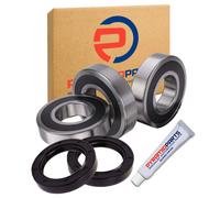 Cuscinetti e guarnizioni ruota posteriore per Suzuki DR125 SM 2008-2013