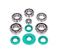 Cuscinetti gabbia metallica C3 + paraoli FKM Schmitt Evolution con direzione di rotazione Simson M500