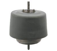 Cuscinetti, motore FEBI BILSTEIN 23130 sinistro