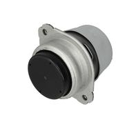 LEMFÖRDER 35789 01 Sospensione Motore Per Porsche CAYENNE (9PA) 2002-2010 Dx E Altri Veicoli