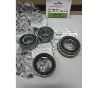 CUSCINETTI PARAOLIO E PARAPOLVERE RUOTA ANTERIORE PIAGGIO APE PORTER-QUARGO ORIG