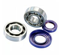 CUSCINETTI REVISIONE ALBERO MOTORE POLINI VESPA 125 PRIMAVERA / XL CONO DM. 20MM
