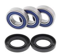 CUSCINETTI RUOTA POSTERIORE CON GUARNIZIONI YAMAHA TTR 250 '99-'06