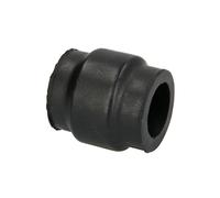 REINHOCH Cuscinetto Stabilizzatore Posteriore per Iveco Quotidiano III Pritsche