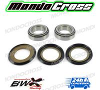 cuscinetti sterzo kit revisione BEARINGWORX BETA Xtrainer 300 2025 (25)