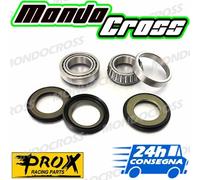cuscinetti sterzo kit revisione PROX BETA RR 400 2010 (10)