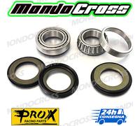 cuscinetti sterzo kit revisione PROX BETA Xtrainer 300 2023 (23)