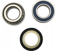 CUSCINETTI TESTA CON GUARNIZIONI TELAIO INDIAN FTR 1200/RALLY '19-'20,