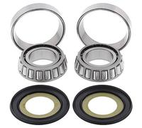 CUSCINETTI TESTA TELAIO CON GUARNIZIONI BMW G450 '08-'11, HARLEY DAVID