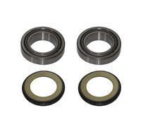 CUSCINETTI TESTA TELAIO CON GUARNIZIONI HONDA CRF 250R '10-'13, CRF 45