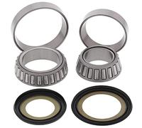 CUSCINETTI TESTA TELAIO CON GUARNIZIONI HONDA FCS 600 '02-'13, VTR 100