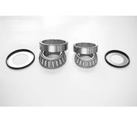 CUSCINETTI TESTA TELAIO CON GUARNIZIONI KAWASAKI KLX 250/650, SUZUKI DR/GS/GSF/G