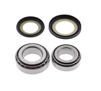 CUSCINETTI TESTA TELAIO CON GUARNIZIONI KAWASAKI KLX 250/650, SUZUKI DR/GS/GSF/G