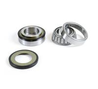 CUSCINETTI TESTA TELAIO CON GUARNIZIONI YAMAHA XP 500 T-MAX '09-'11, Y