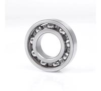 Cuscinetto 6004.F604 20x42x12
