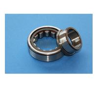 Cuscinetto a rulli 25X52X15 NJ 205 ETC3