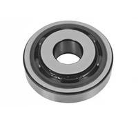 Sasic Ball Bearing 4005306