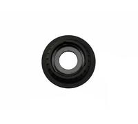 FAST FT12402 Cuscinetto volvente, Supporto ammortizz. a molla per FORD,JAGUAR