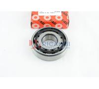 CUSCINETTO A RULLI CILINDRICI GABBIA IN POLIAMMIDE FAG N305-E-XL-TVP2 25x62x17