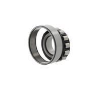 Cuscinetto a rulli cilindrici N205 ECP 25x52x15