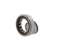 Cuscinetto a rulli cilindrici NJ304 ECP/C3 20x52x15