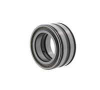Cuscinetto a rulli cilindrici SL045007 -PP 35x62x36