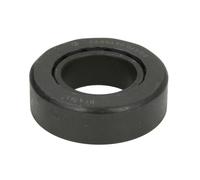 Cuscinetto a rullini, snodo dello sterzo CARRARO 45159-CR