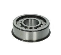 Cuscinetto a rullini, trave dell'assale DT Spare Parts 1.16069