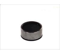 Cuscinetto a rullini, trave dell'asse DT SPARE PARTS per MAXTER 9.839 1992-1993