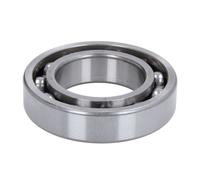 Cuscinetto a sfera ZVL 6007