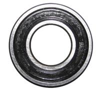 Cuscinetto a Sfere 6004 2rs 6004llu/5k