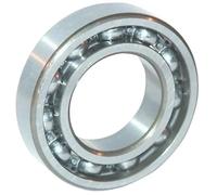 Cuscinetto a sfere con scanalatura profonda SKF 6010