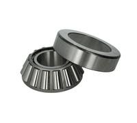 Cuscinetto, albero di ingresso, differenziale DT Spare Parts 1.16037