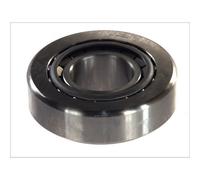 Cuscinetto, albero di ingresso, differenziale DT Spare Parts 1.16041