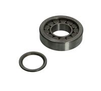Cuscinetto, albero di ingresso, differenziale DT Spare Parts 2.35026