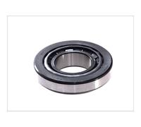 SKF Cuscinetto VKT 8761 – albero di ingresso, differenziale