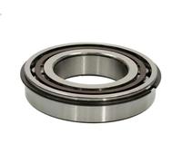 Cuscinetto, albero differenziale DT SPARE PARTS 1.16674 per T 15.607 2004-2005